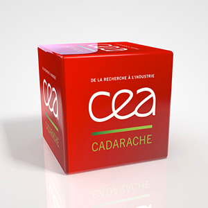 CEA de Cadarache - Escape Game Pédagogique Sécurité interne (sous-traitance Happy Kit)